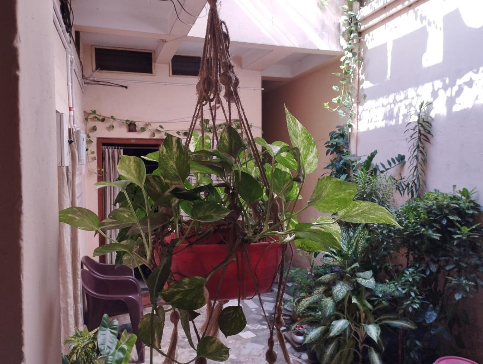 Divine View - Ac Room For 2 Pax - Swarna Bhavan Puri Exterior foto